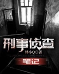 刑事侦查笔记港剧