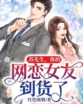 苏先生，你的网恋女友到货了