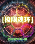 魂环限制