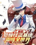 怪盗基德直播间