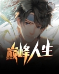 巅峰人生小说