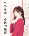 小说 乞丐