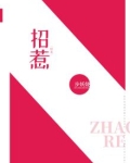招惹