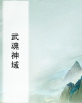 武魂神域