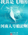 我真是飞翔的河南人号船长啊 第501章