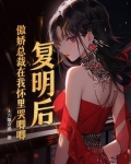 傲娇总裁求复婚