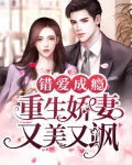 错爱成婚小说完整版阅读