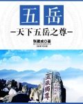 五岳之尊是啥
