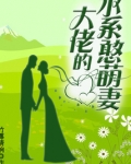 大佬的水系憨萌妻书评