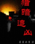 猎暗追凶