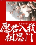 愿君入我相思门