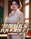 姐姐别乱动小说知乎