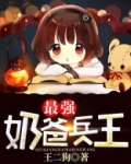 最强奶爸兵王王二狗笔趣阁