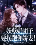 封总,妖孽奶团子要拐跑你娇妻! 甜泡小桃