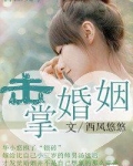 击掌婚姻 葭月飞雪