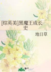 黑魔王的升级之路综漫