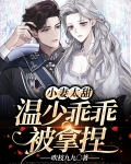 小妻太甜：温少乖乖被拿捏
